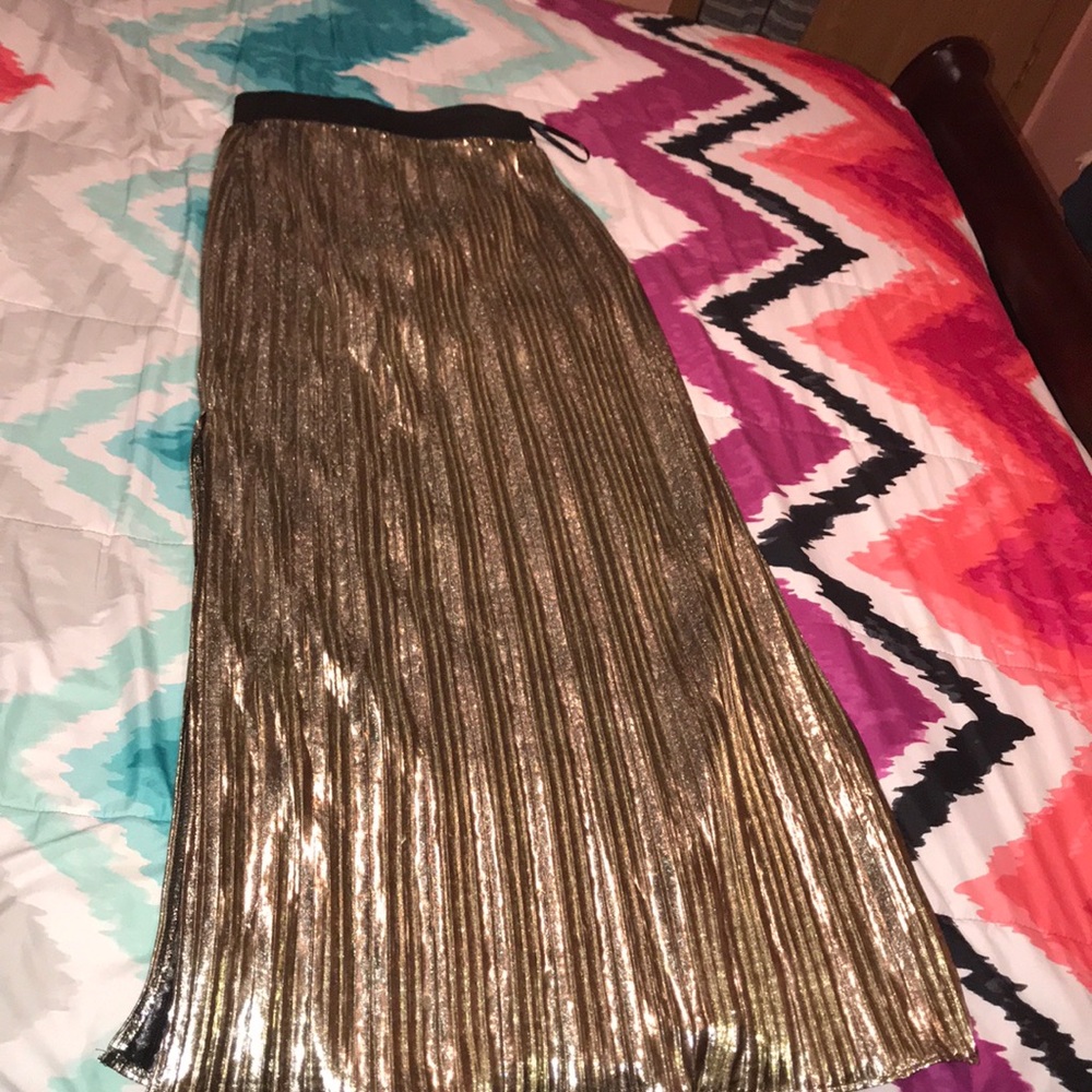 Maxi Gold Pleated Fancy Skirt